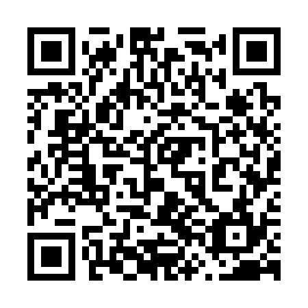 QR code for 66G334