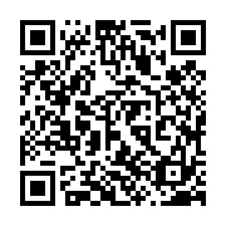 QR code for plate 66J 433