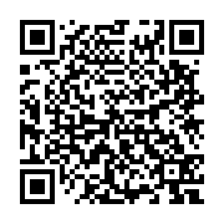 QR code for 66K 533