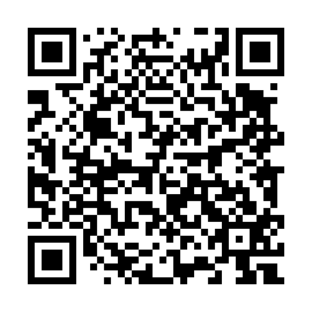 QR code for 66L413