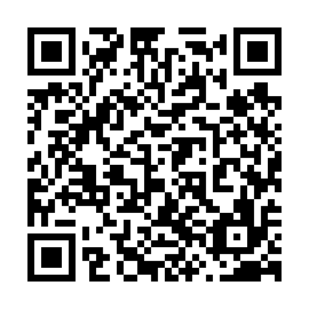 QR code for 66M616