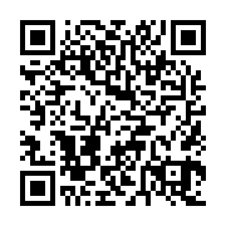 QR code for 66N161
