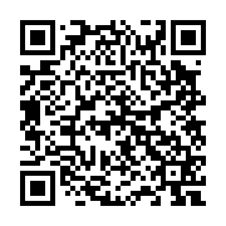 QR code for plate 66R 061