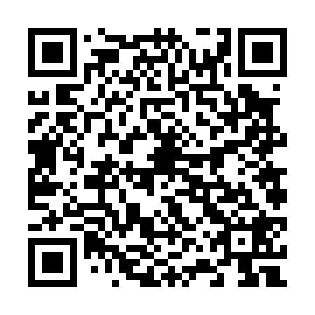 QR code for plate 66V 028