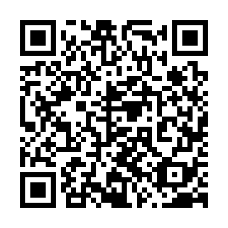 QR code for plate 66V 379
