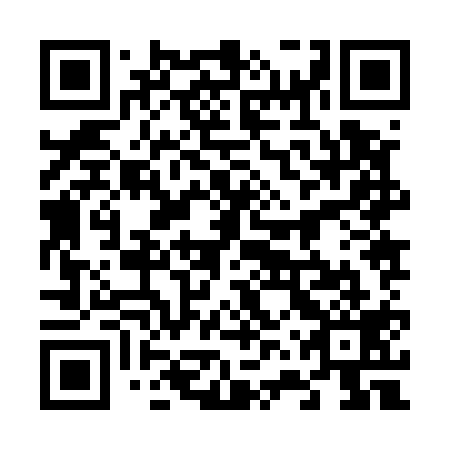 QR code for 66Z519