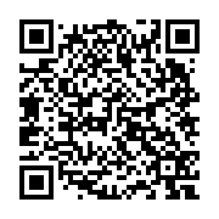 QR code for plate 66Z 636