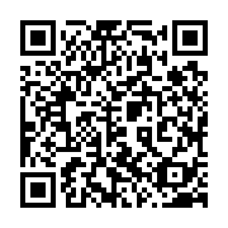 QR code for 66Z739
