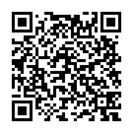QR code for plate 67B 538