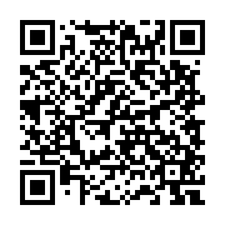 QR code for plate 67D 541