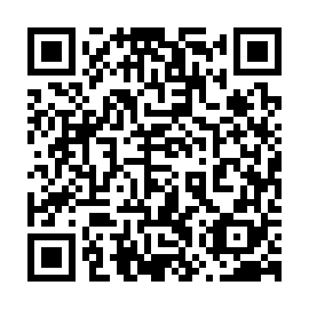 QR code for plate 67U 368
