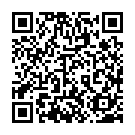 QR code for plate 67X 330