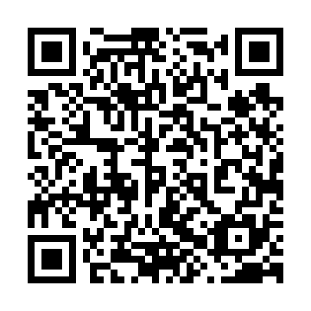 QR code for plate 68T 675