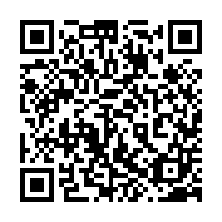 QR code for plate 68V 803
