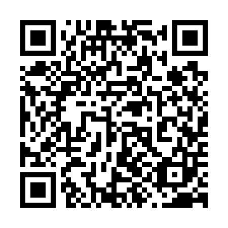 QR code for plate 69C 703