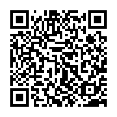 QR code for plate 69L 311