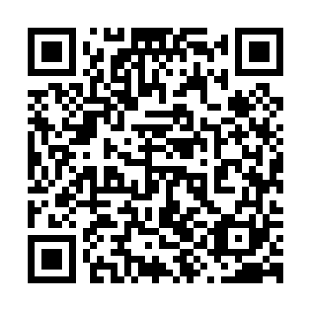 QR code for plate 69M 061
