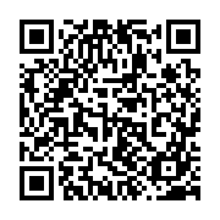 QR code for plate 69N 367