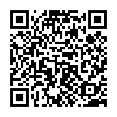 QR code for plate 69N 439