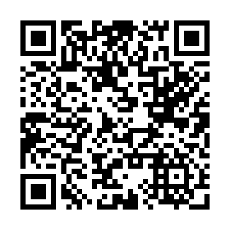 QR code for plate 69P 317