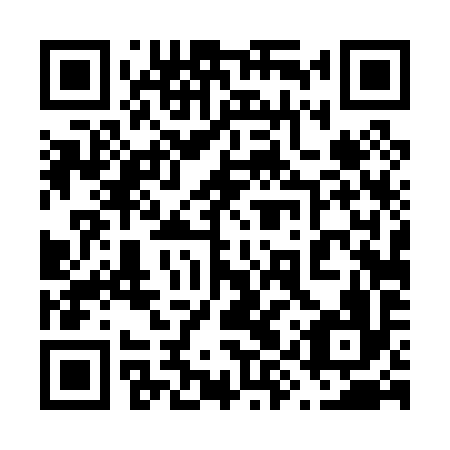 QR code for plate 69T 096