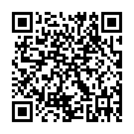 QR code for plate 69T 383
