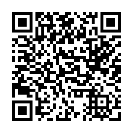 QR code for plate 6AY 950