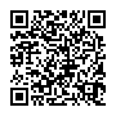 QR code for plate 6CE 300