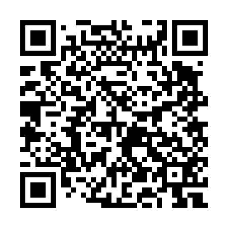 QR code for 6E 2452