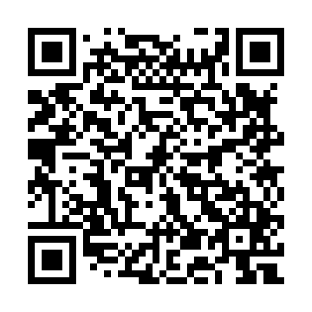 QR code for 6E 3845
