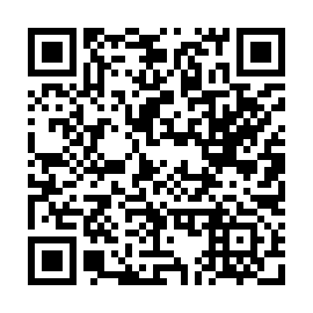 QR code for 6E 4993