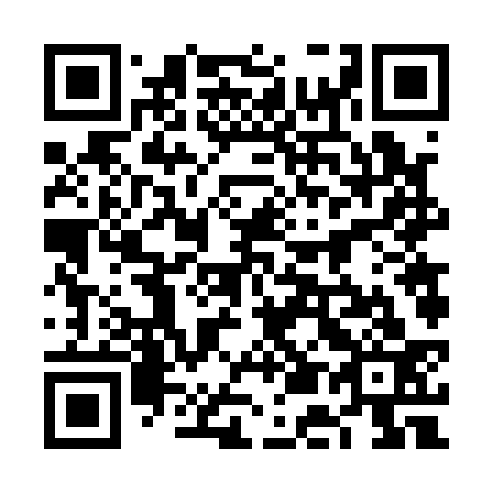QR code for 6E 6133