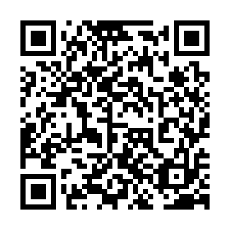 QR code for plate 6FO 313