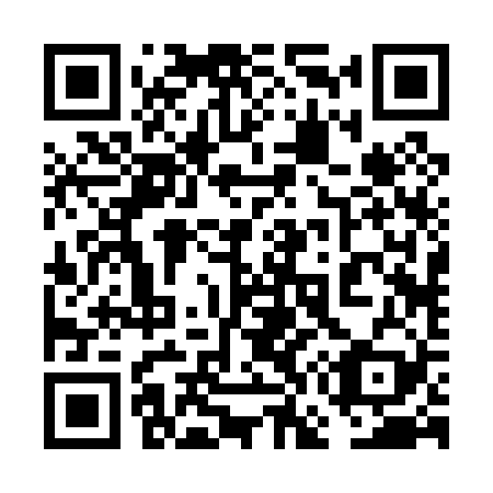 QR code for 6G 2029