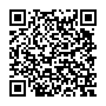 QR code for 6G 8460