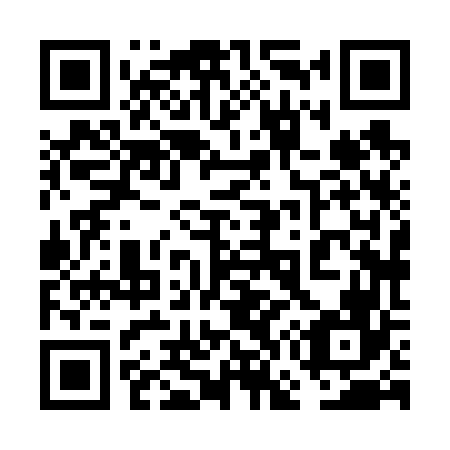 QR code for 6G 8666