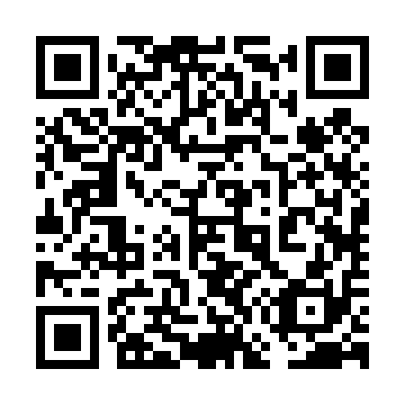 QR code for plate 6G 2410