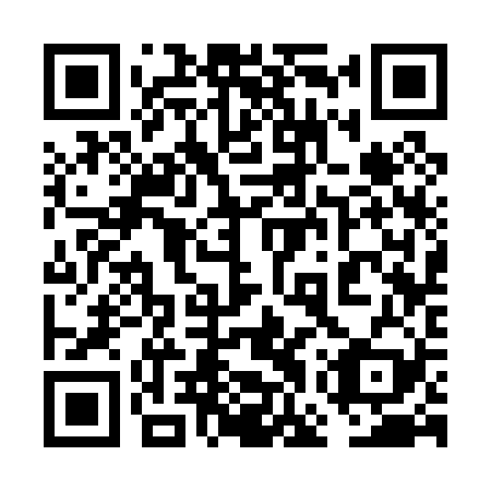 QR code for plate 6GS 029