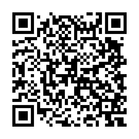 QR code for plate 6GT 400