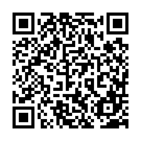 QR code for plate 6GZ 706