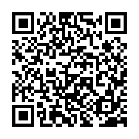 QR code for plate 6I 6132