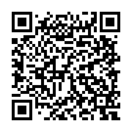 QR code for plate 6I 8593