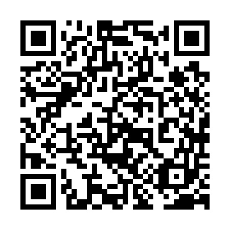 QR code for plate 6I 8753