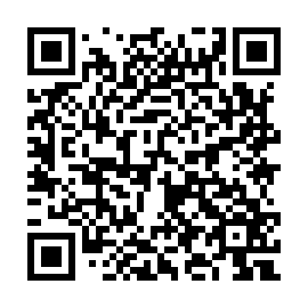 QR code for plate 6I 9966