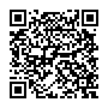 QR code for plate 6J 0009