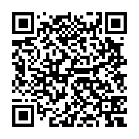 QR code for plate 6J 0038