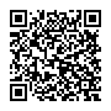 QR code for plate 6L 2863
