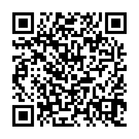 QR code for plate 6LN 110