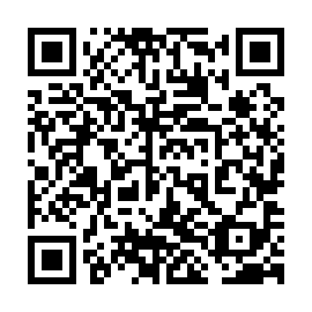 QR code for plate 6LN 199