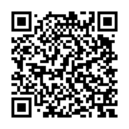 QR code for plate 6LU 450